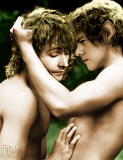 merry & pippin