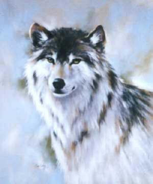  wolf