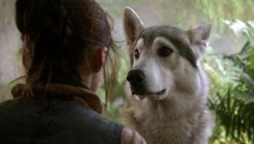  Arya Stark and Nymeria