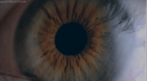  Eye