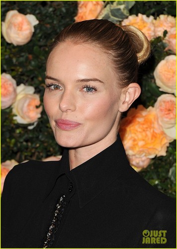  Kate Bosworth: Chanel Intimate ডিনার Cutie!