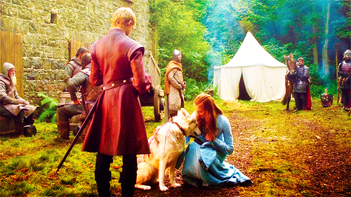  Lady and Sansa Stark with Joffrey