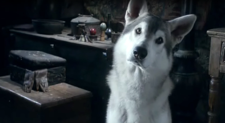  Nymeria - Arya's direwolf