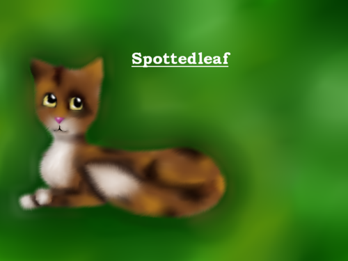  Spottedleaf