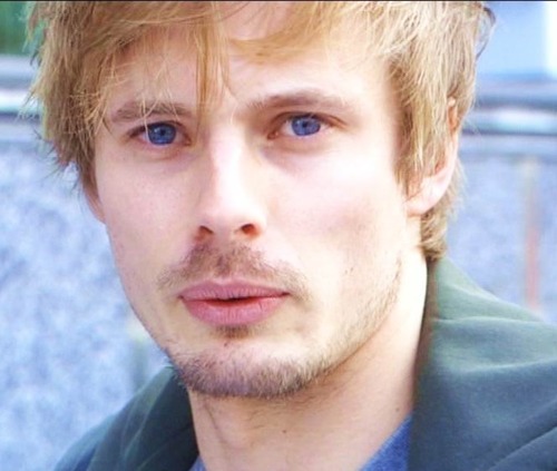 This Bradley Spam Brought To You For Melisey