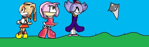  Amy And Rouge