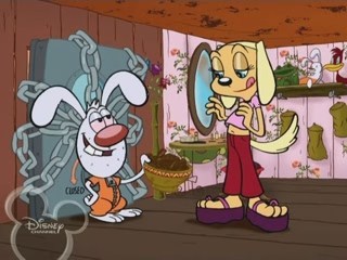  brandy and Mr. Whiskers