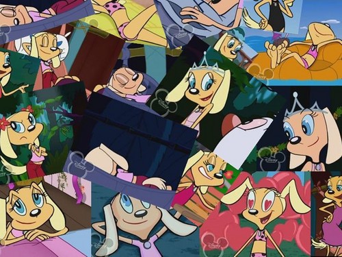  rượu mạnh, brandy and Mr. Whiskers collage