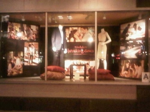  Edward and Bella costumes used in Breaking Dawn on Display in new York