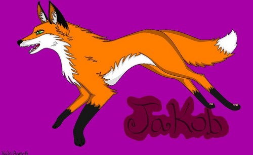  fox, mbweha Character