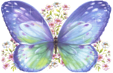  Friendship vlinder
