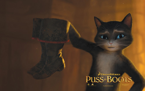  Puss In Boots fond d’écran - Kitty