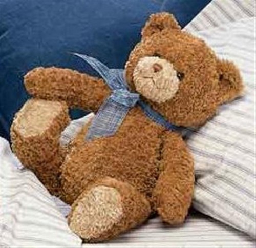  Teddy ours