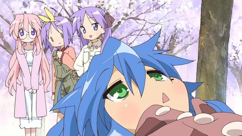 lucky star with cherry blossoms