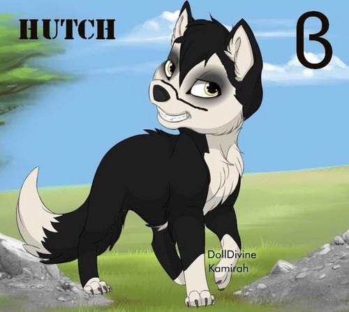 Hutch as a puppy