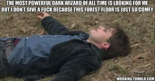  I actually slept on a forest floor once... Harry's right, comfy indeed....