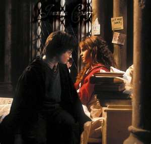  harry and hermione