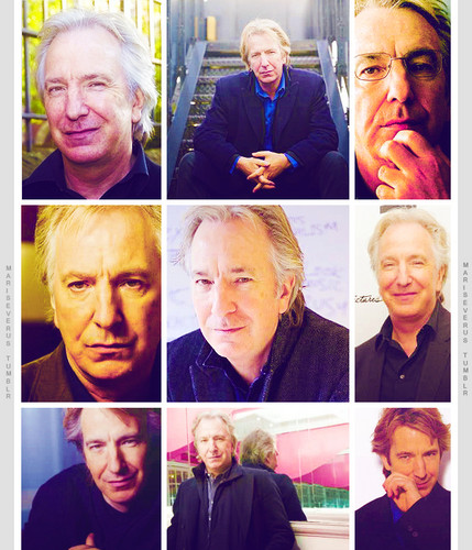 Alan, films and more.