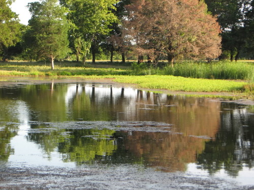  Pond