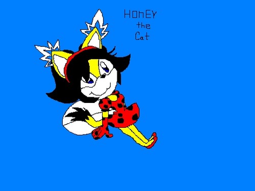  Honey the ladybug cat