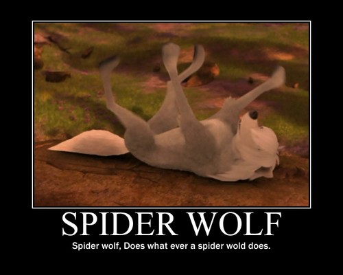  거미 Wolf!!