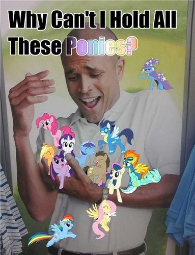  Why can't I hold all these ponies?
