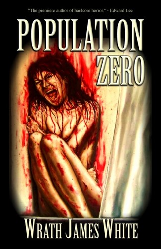  pop zero book cover
