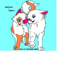  Brightheart and Cloudtail