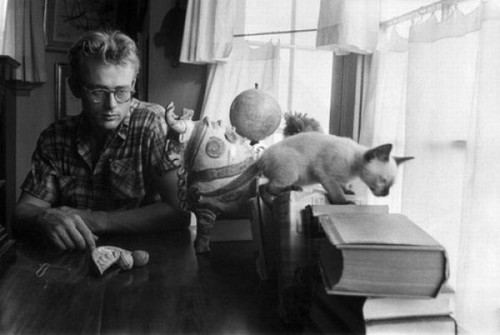  James Dean with Marcus the cat