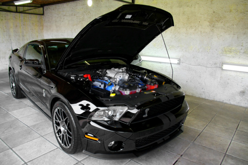  Mustang! ;)