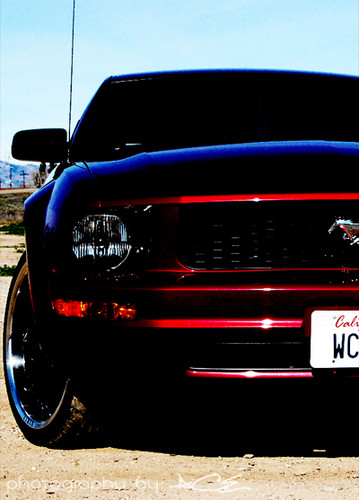  Mustang! ;)