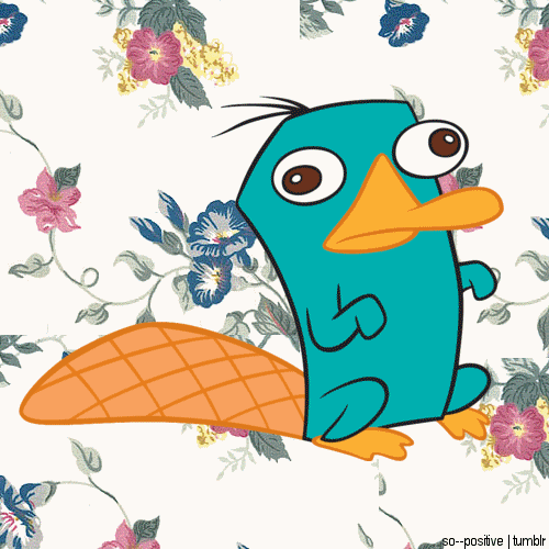  Perry