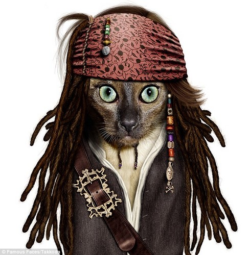 Purr-ates Of The Caribbean
