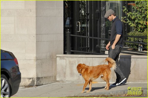  Ryan Reynolds: Afternoon Stroll with Baxter!