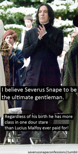  Severus Snape Confessions