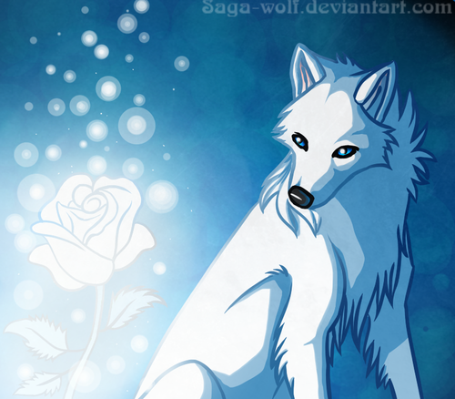  white serigala, wolf