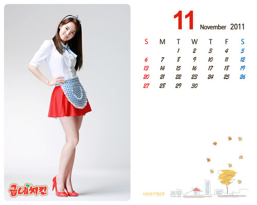  Girls' Generation Hyoyeon Goobne November calendar