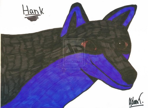  Hank the 狼, オオカミ