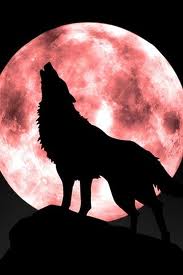  Howling is what we live for!