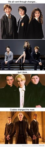  I think Crabbe had changed the most...