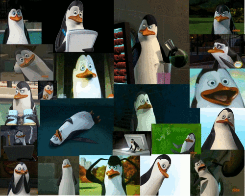 Kowalski the Penguin Wallpaper