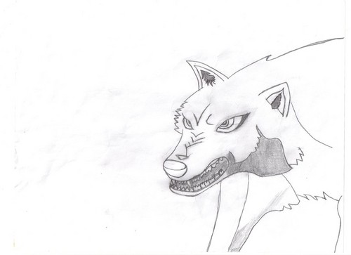 My first anime wolf