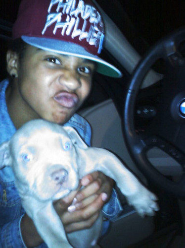  Roc And his Dog