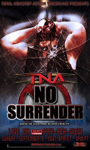  TNA Banners Lot
