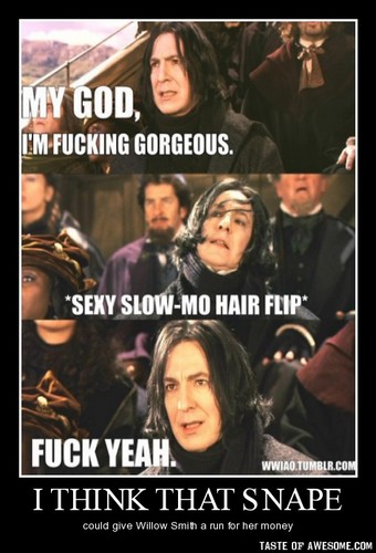  Twilight & Harry Potter