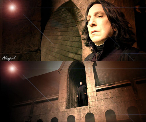  severus my only