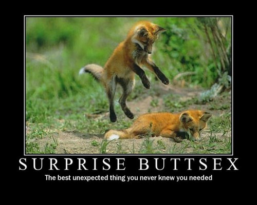  surprise buttsex
