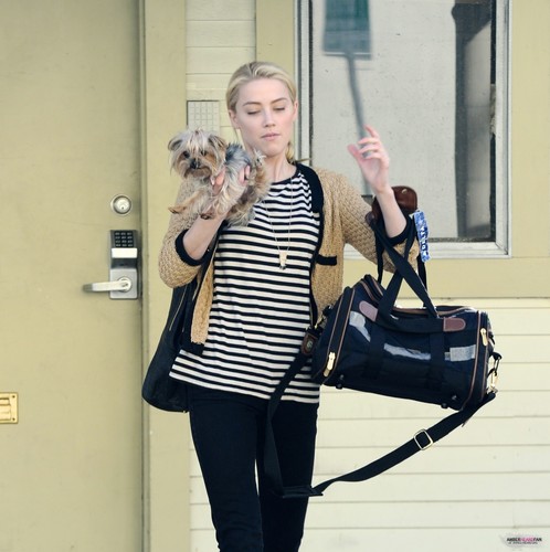 OUT IN LA WITH HER DOG (NOVEMBER 15TH)