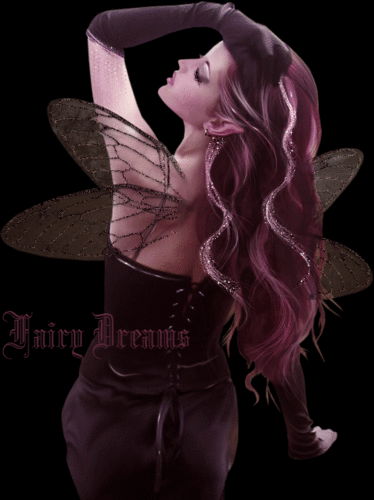  fairy