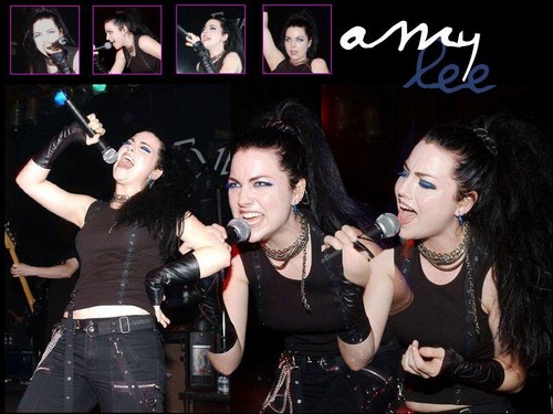  Amy Lee